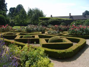 Garden Maintenance Oxfordshire, Oxford Garden Design