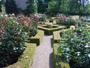 Garden Maintenance Oxfordshire, Oxford Garden Design