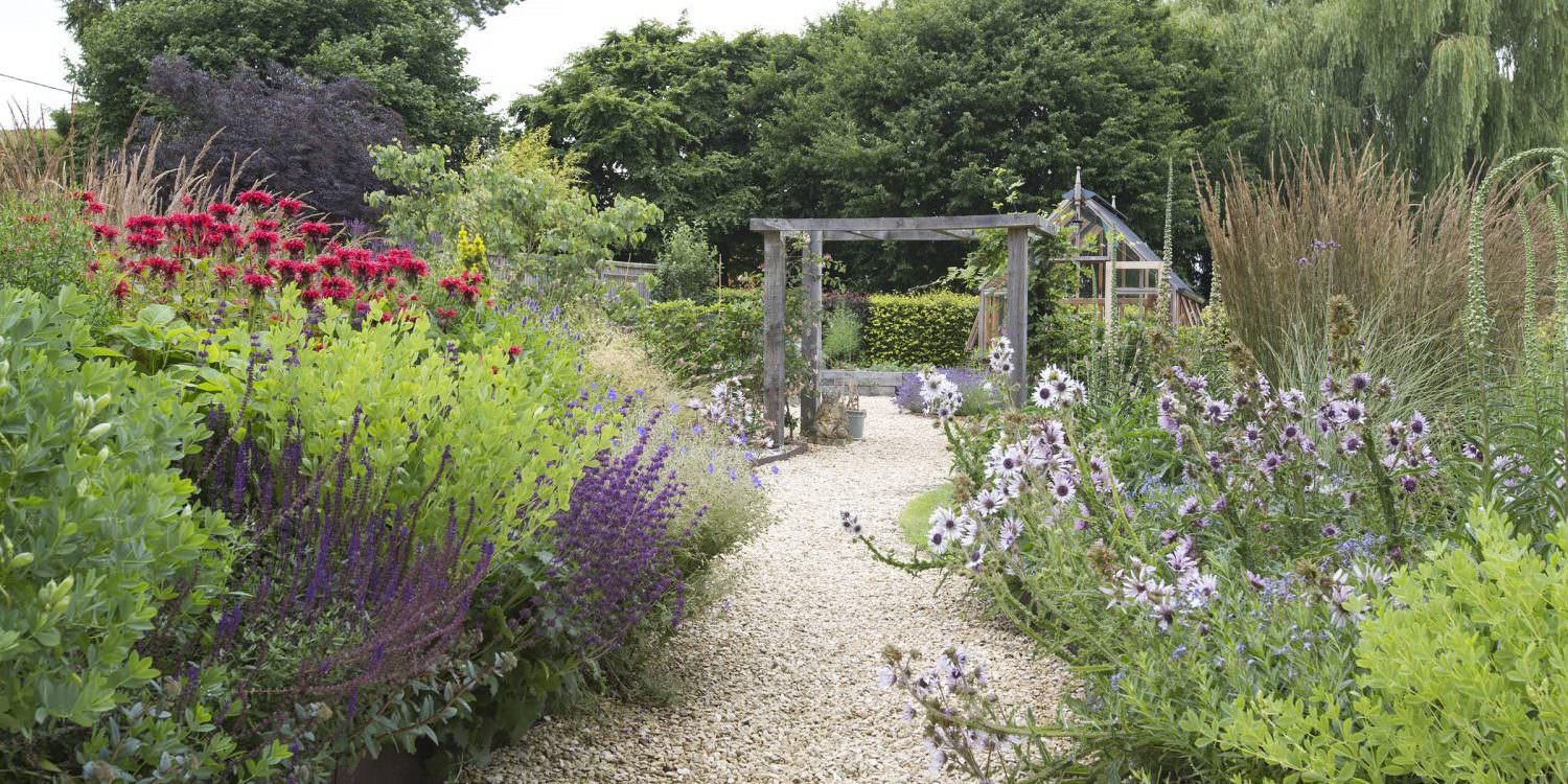 Are Coffee Grounds Good For Your Garden Oxford Garden Design