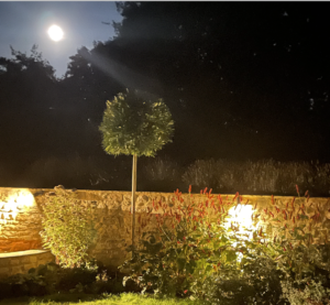 Lights in a garden with moon
