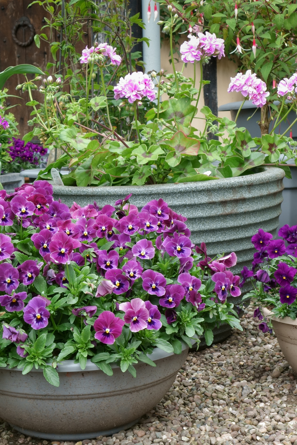 container planting