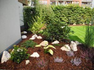 garden flowerbed covered with bark chip mulch
