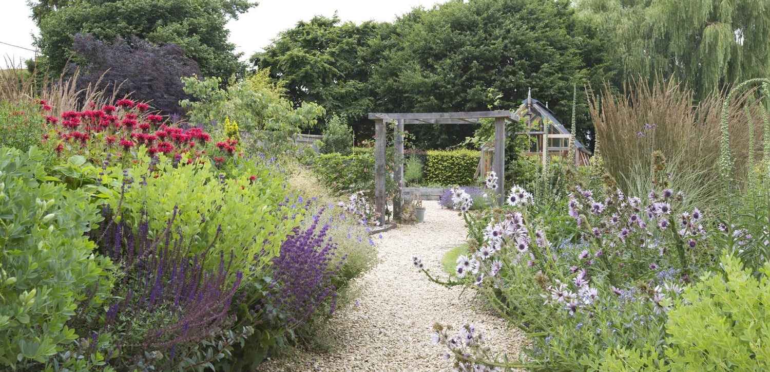 Are Coffee Grounds Good For Your Garden? | Oxford Garden Design
